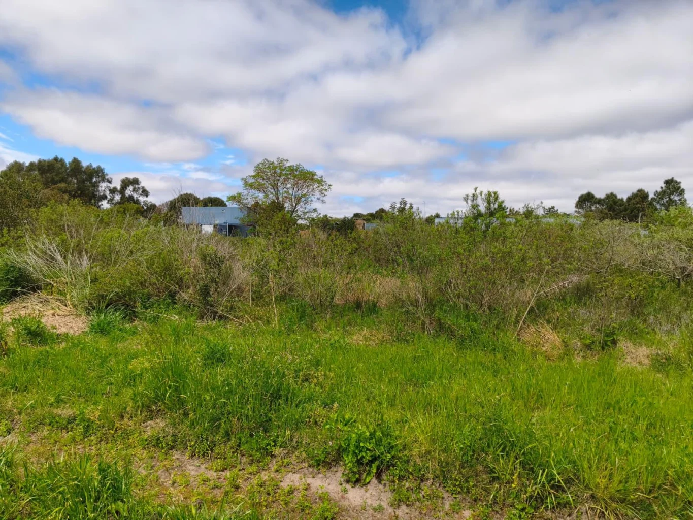 Terreno en Los Pinos, propiedad 300914 -Imagen 9
