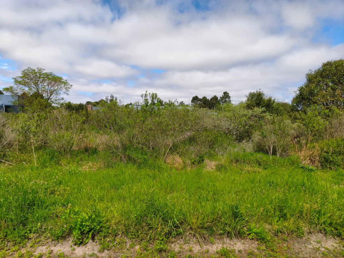 Terreno en Los Pinos, propiedad 300914 -Imagen 10