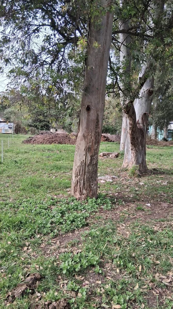 Terreno en Balneario Santa Ana, propiedad 301464 -Imagen 1