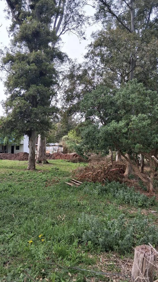 Terreno en Balneario Santa Ana, propiedad 301464 -Imagen 3