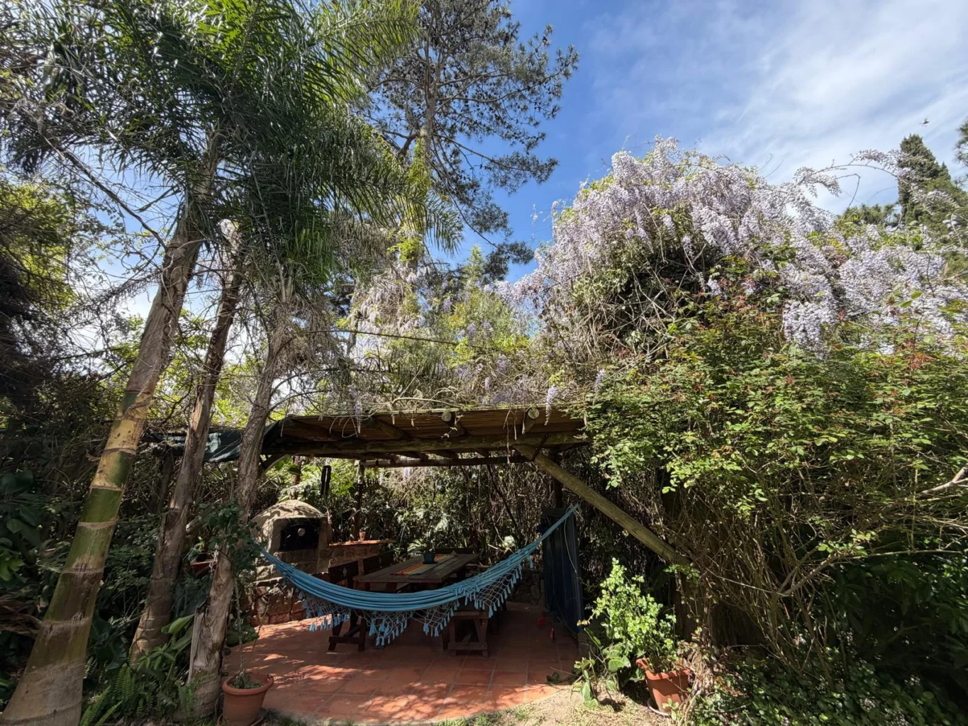 Casa en Pinares, propiedad 302745 -Imagen 5