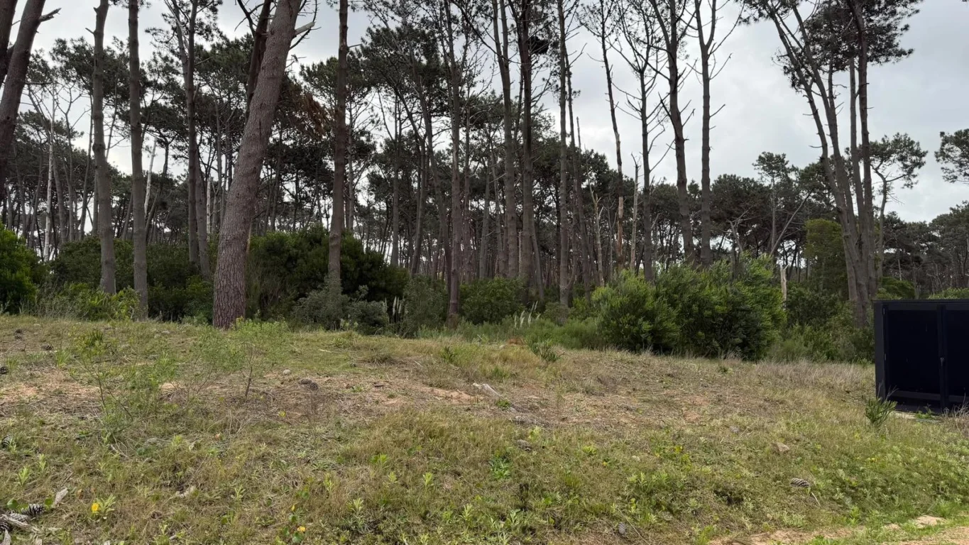 Terreno en Montoya, propiedad 303297 -Imagen 5