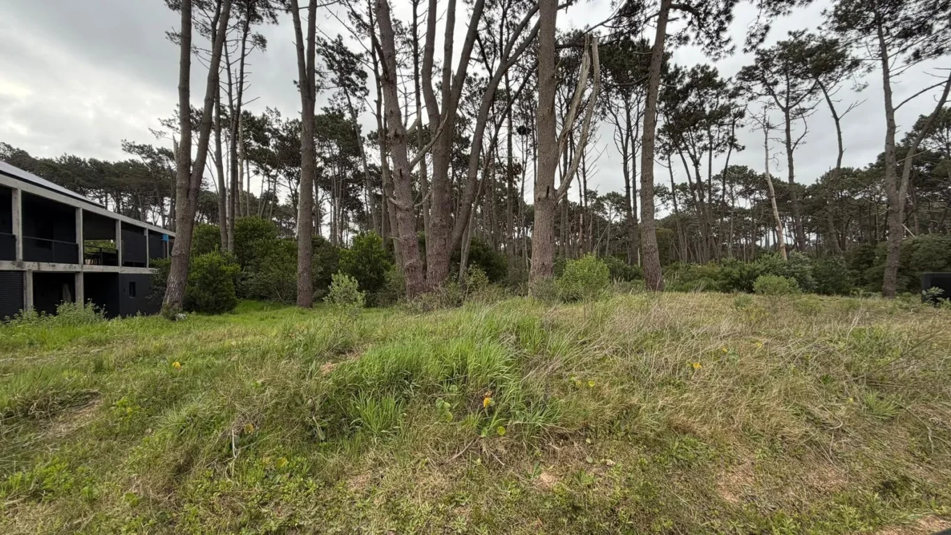 Terreno en Montoya, propiedad 303297 -Imagen 8