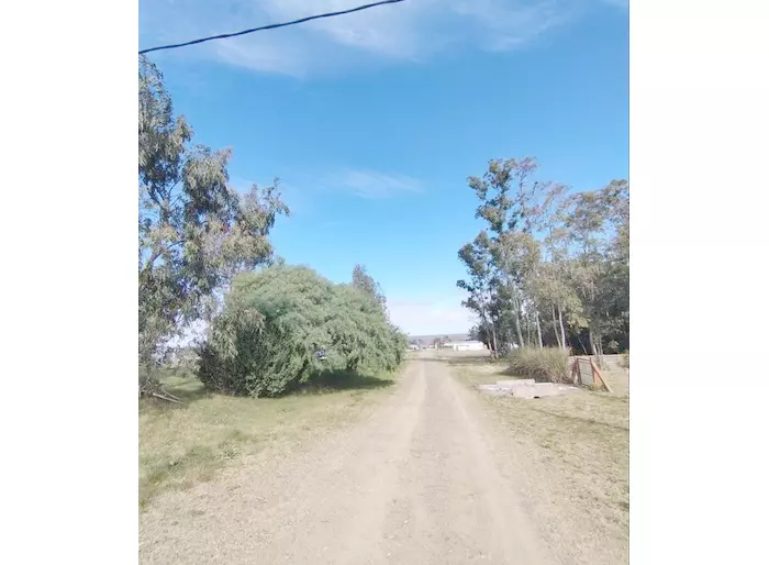 imagen  de la propiedad 255773