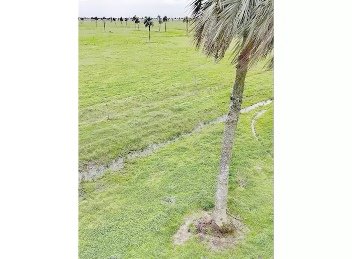 imagen  de la propiedad 258874