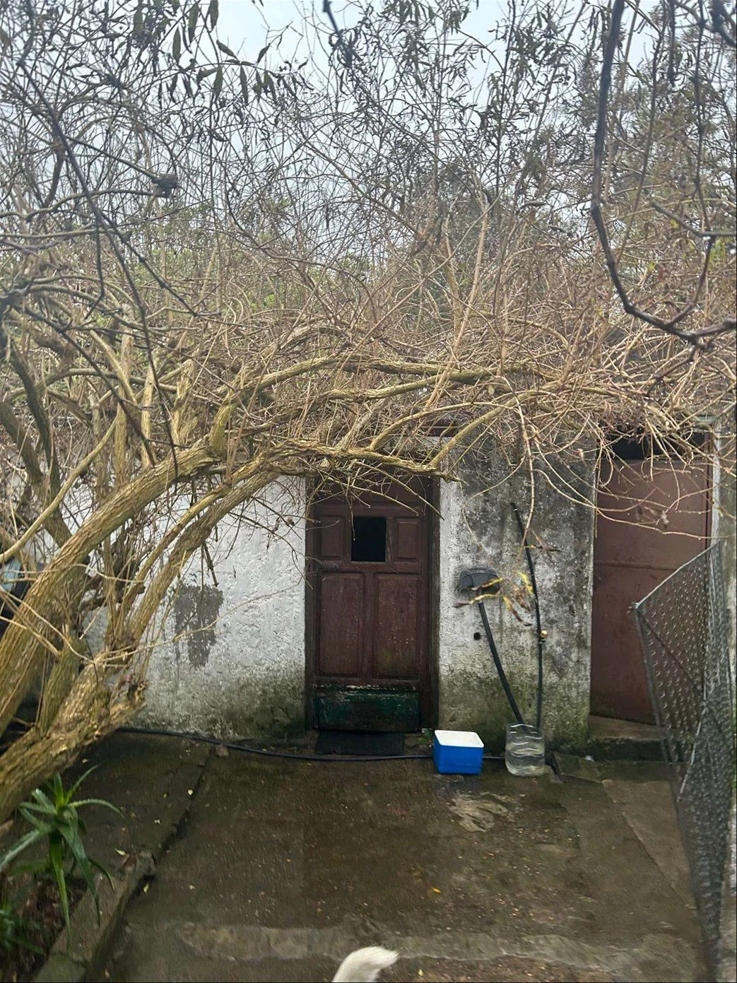 Casa en Playa Pascual, propiedad 288651 -Imagen 6