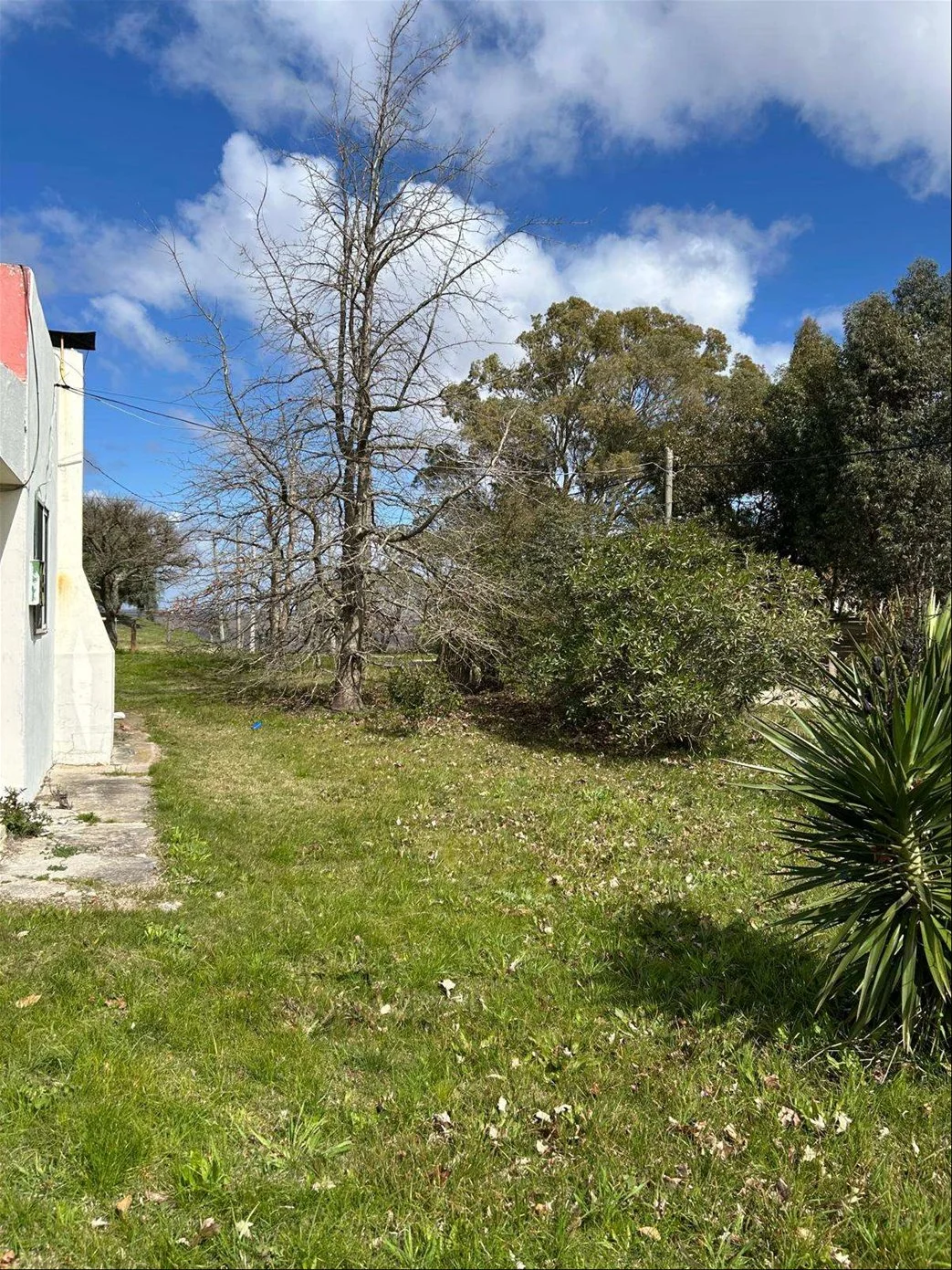 Casa en Kiyú, propiedad 293273 -Imagen 3