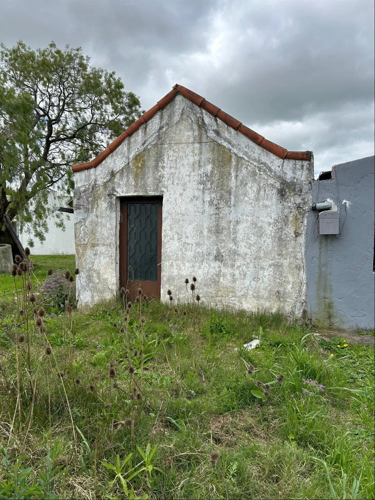Casa en Ecilda Paullier, propiedad 299988 -Imagen 8