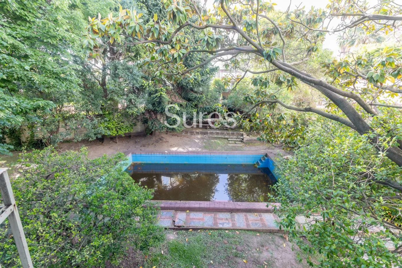 Local en Punta Carretas, propiedad 226055 -Imagen 22