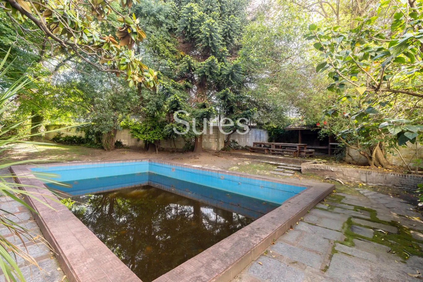 Local en Punta Carretas, propiedad 226055 -Imagen 24