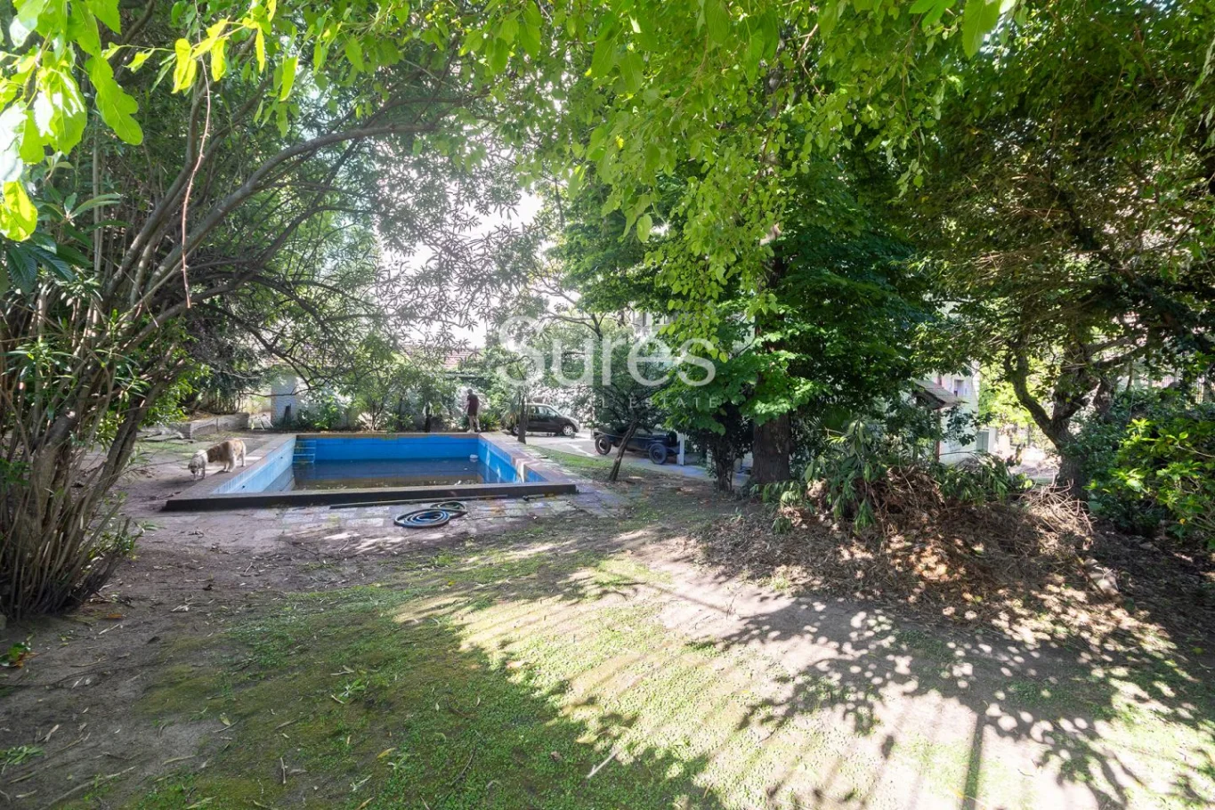 Local en Punta Carretas, propiedad 226055 -Imagen 25
