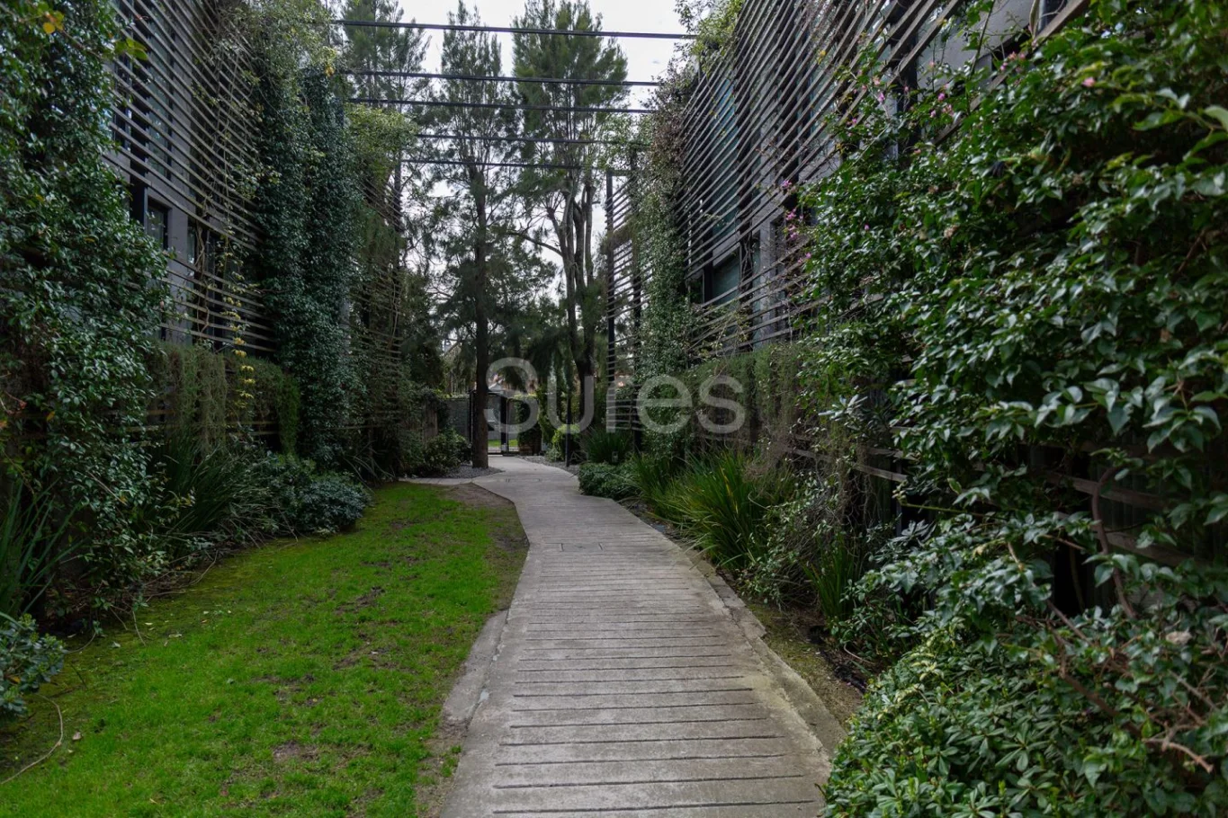 Casa en Carrasco, propiedad 292643 -Imagen 22