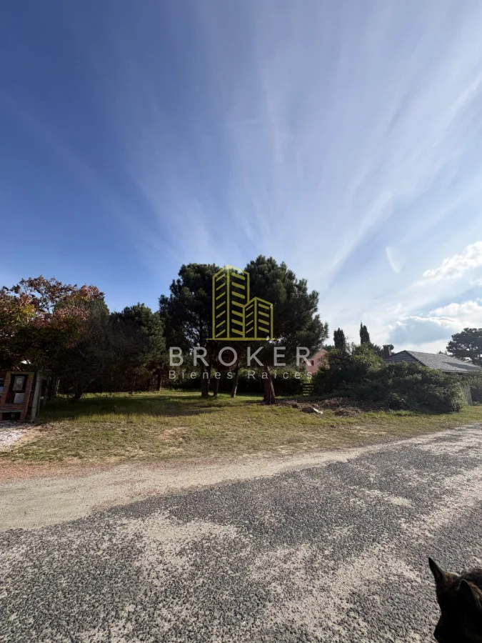 Terreno en Punta del Este, propiedad 273041 -Imagen 6