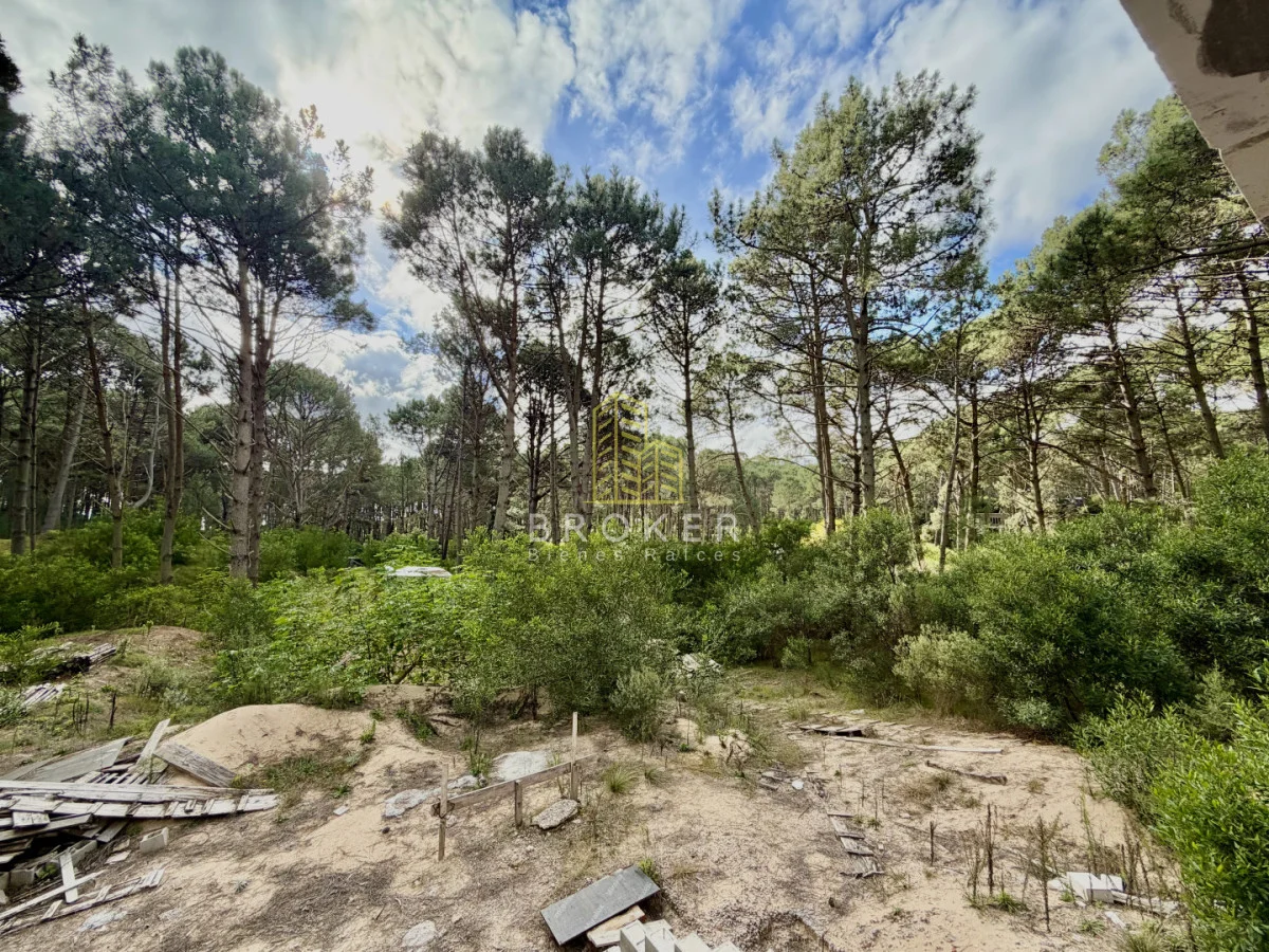 Terreno en Punta Ballena, propiedad 282744 -Imagen 1
