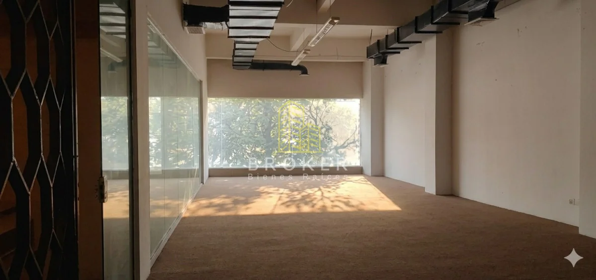 Local en Centro, propiedad 299314 -Imagen 3