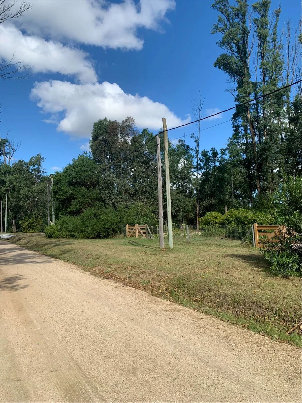 Terreno en Bella Vista, propiedad 253479 -Imagen 16