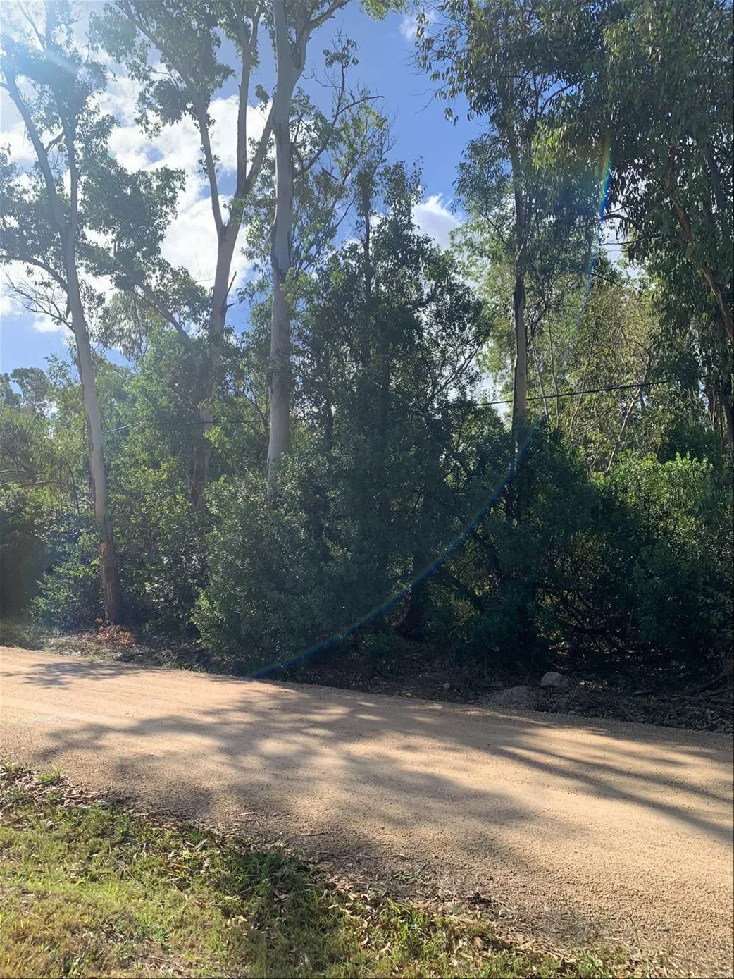 Terreno en Bella Vista, propiedad 253479 -Imagen 9