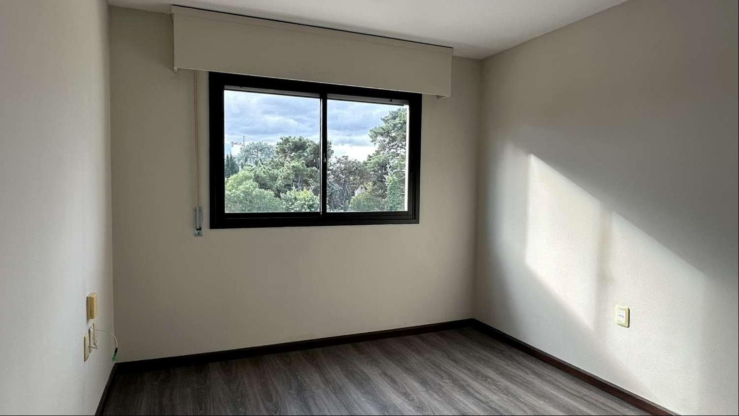 Apartamento en Parque Miramar, propiedad 274405 -Imagen 13
