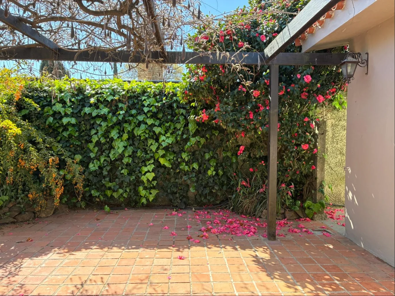 Casa en Carrasco Norte, propiedad 292035 -Imagen 19