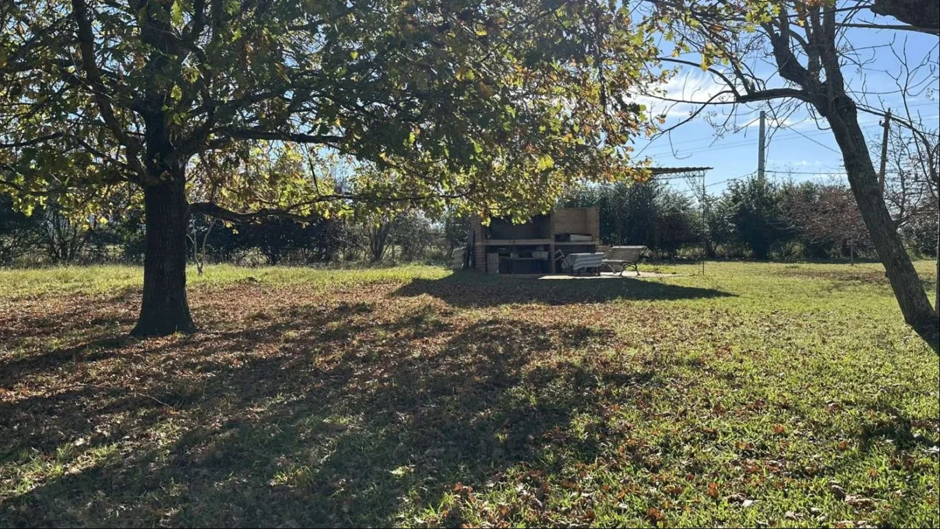 Chacra en Atlántida, propiedad 292042 -Imagen 14