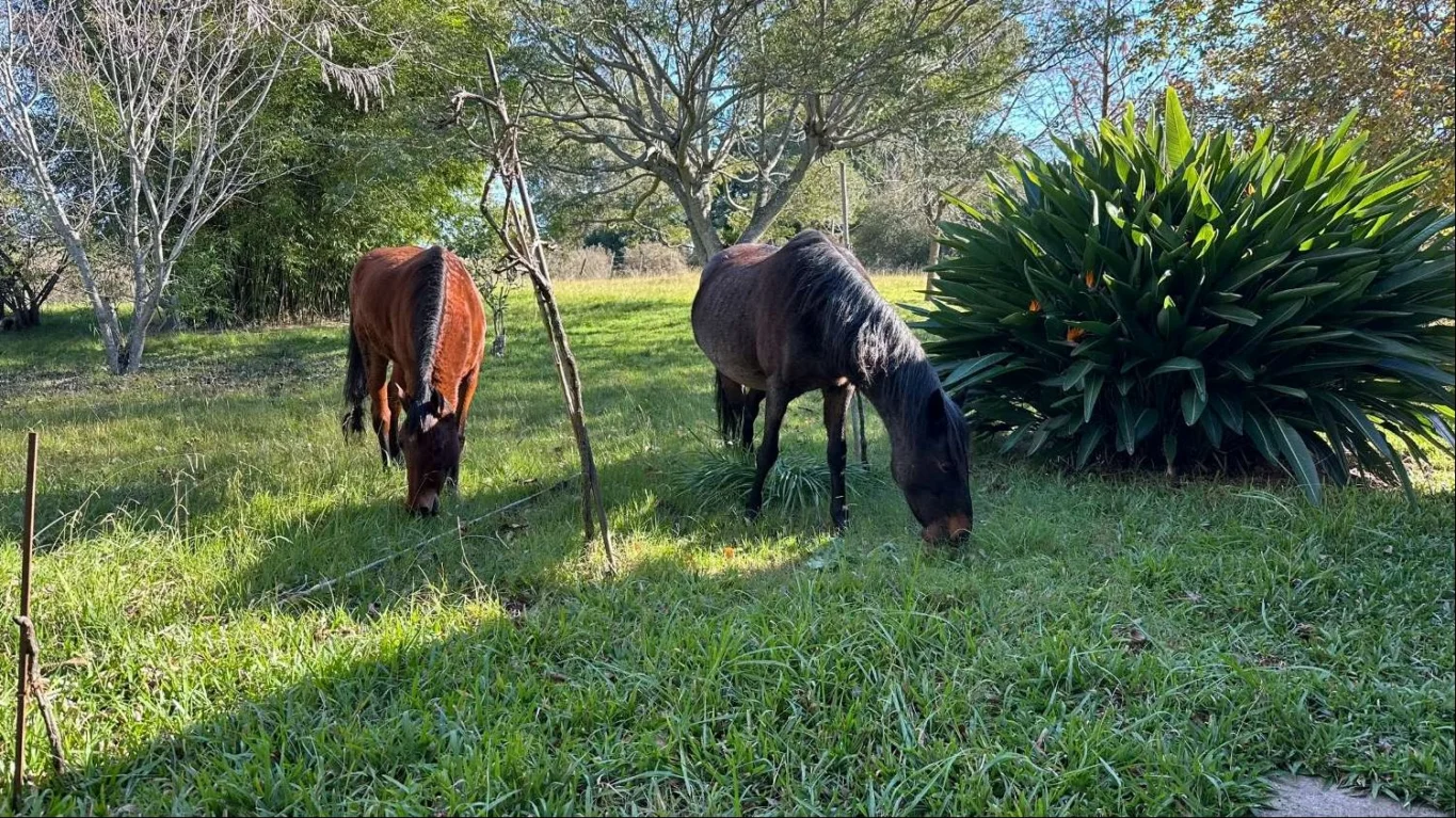 Chacra en Atlántida, propiedad 292042 -Imagen 15