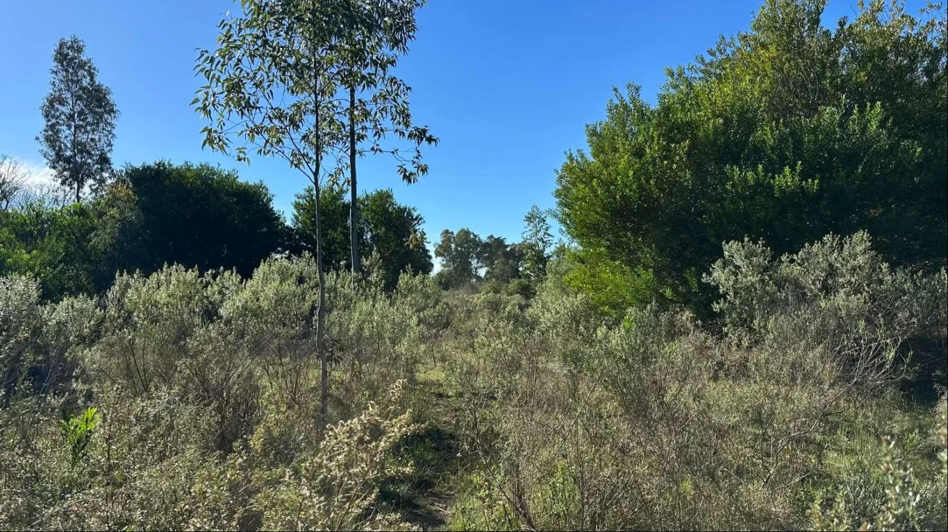 Chacra en Atlántida, propiedad 292042 -Imagen 17