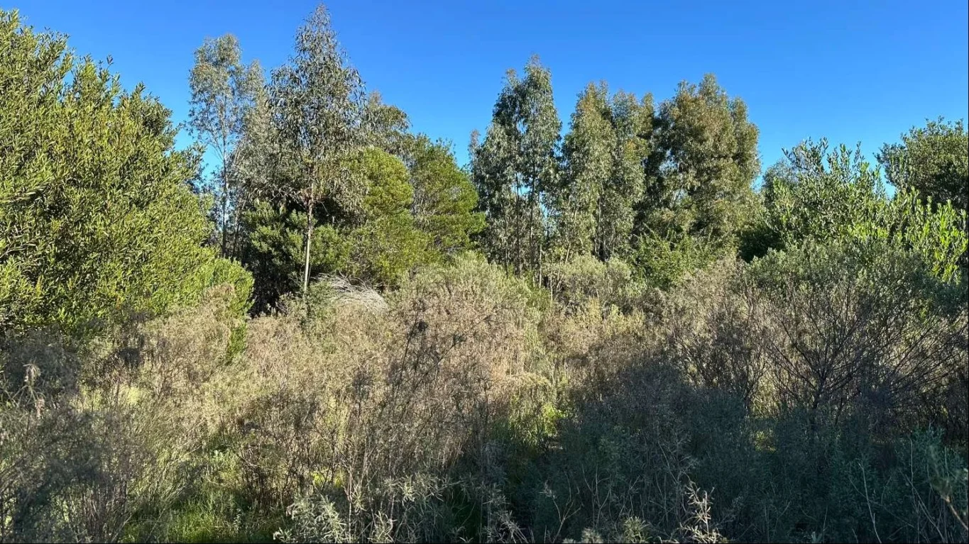 Chacra en Atlántida, propiedad 292042 -Imagen 18
