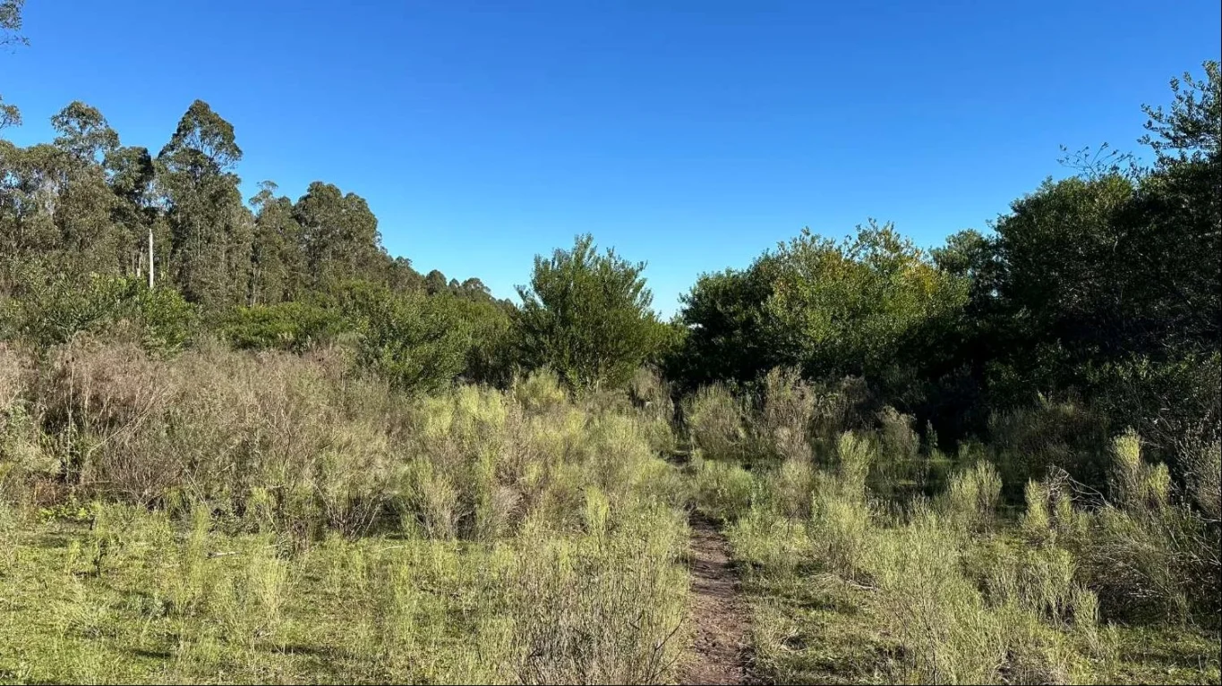 Chacra en Atlántida, propiedad 292042 -Imagen 19