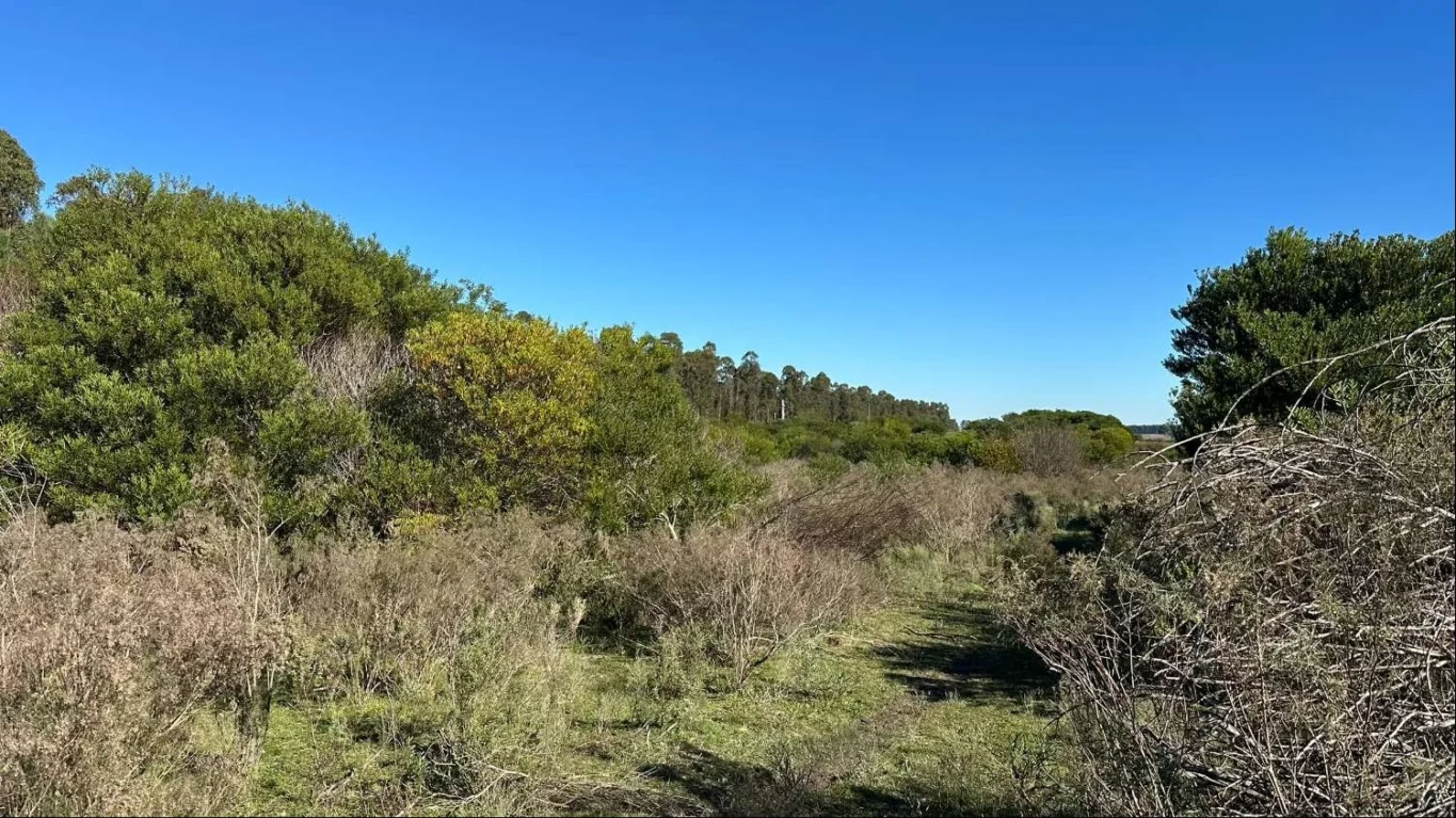 Chacra en Atlántida, propiedad 292042 -Imagen 20