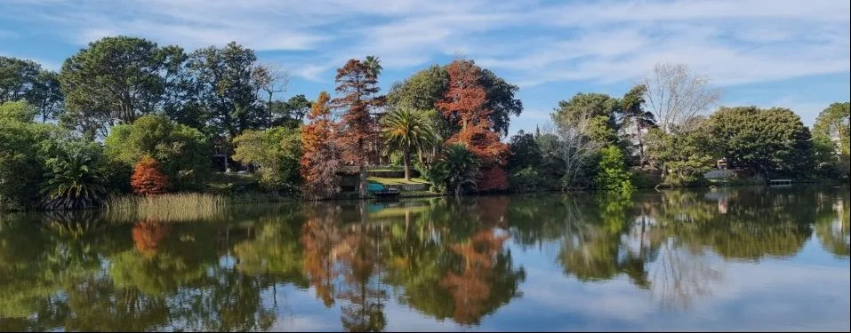 Terreno en Parque Miramar, propiedad 292054 -Imagen 5