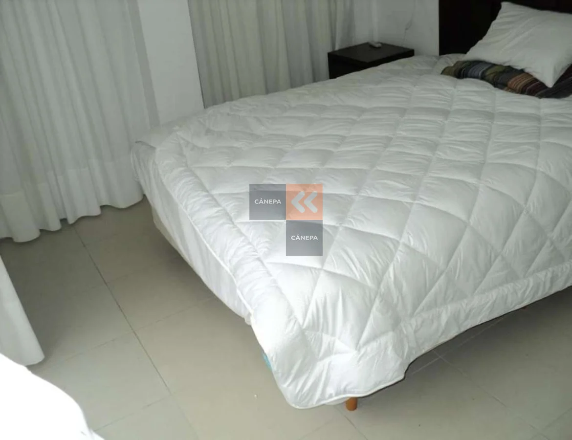Apartamento en Playa Brava, propiedad 13966 -Imagen 3