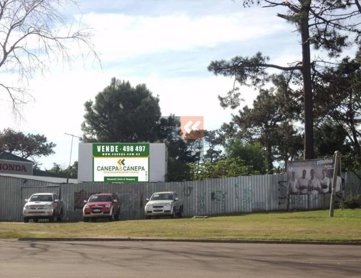 Terreno en Roosevelt, propiedad 18549 -Imagen 1
