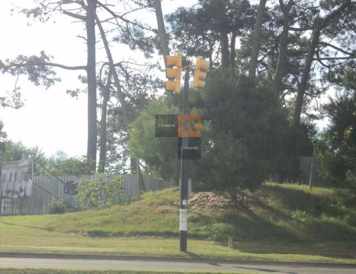 Terreno en Roosevelt, propiedad 18549 -Imagen 2