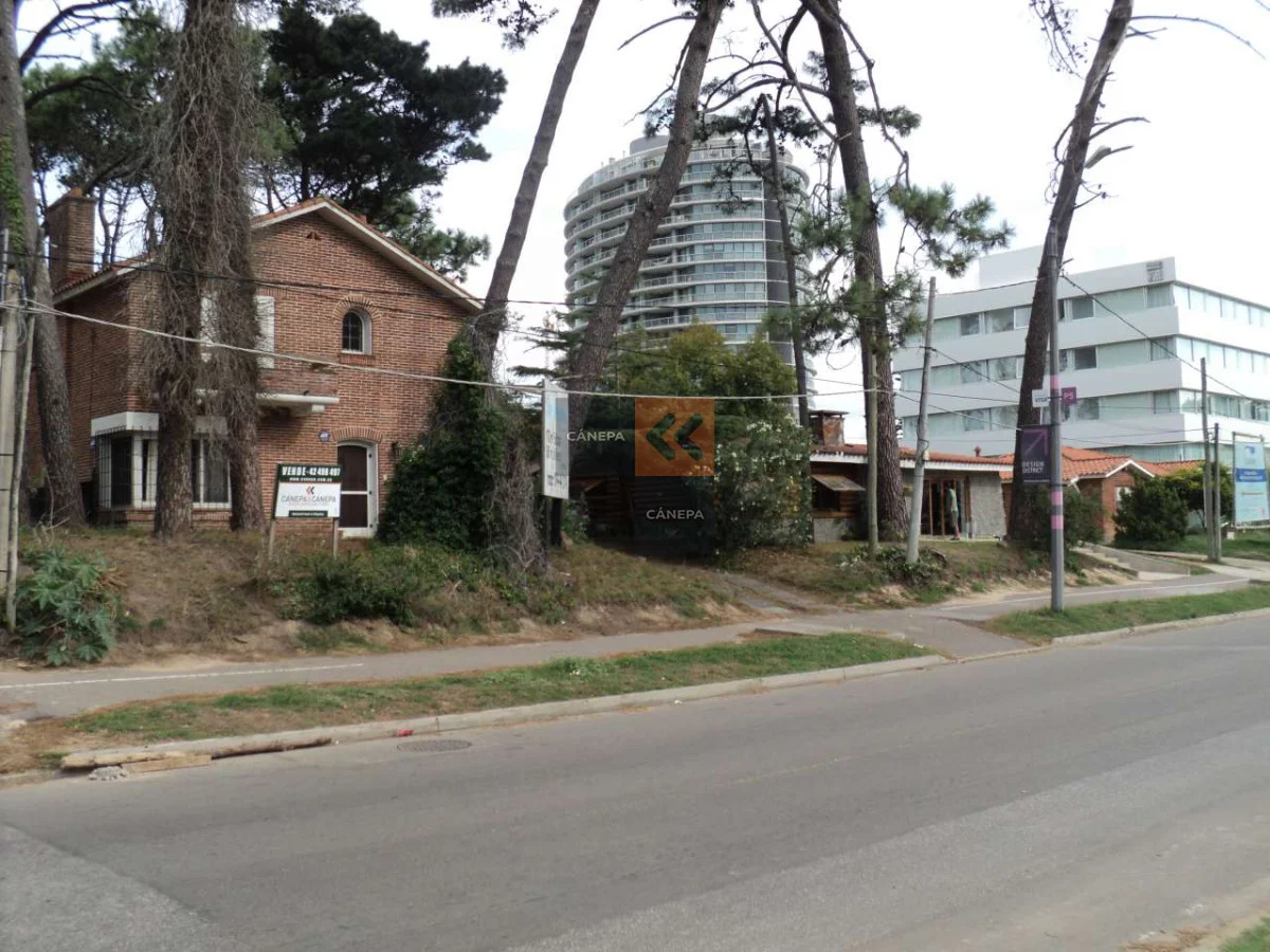 Terreno en Roosevelt, propiedad 18554 -Imagen 1