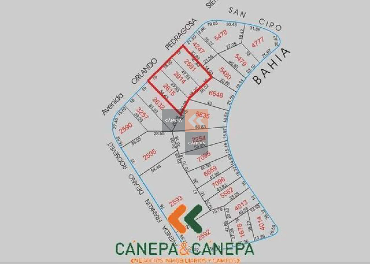 Terreno en Roosevelt, propiedad 18554 -Imagen 4