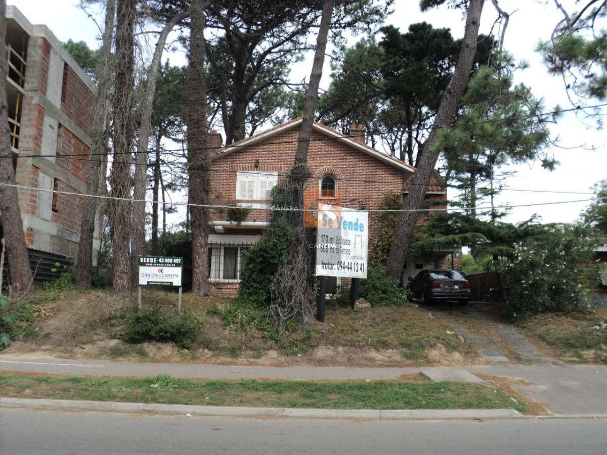 Terreno en Roosevelt, propiedad 18554 -Imagen 5