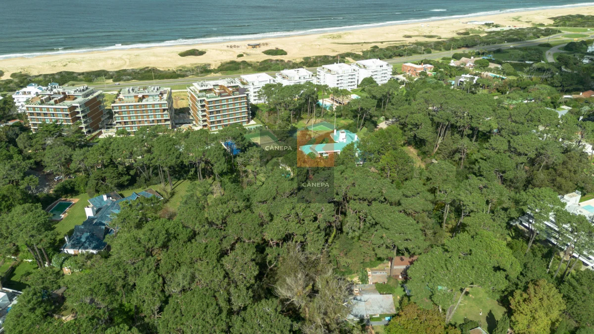 Terreno en Golf, propiedad 266325 -Imagen 1