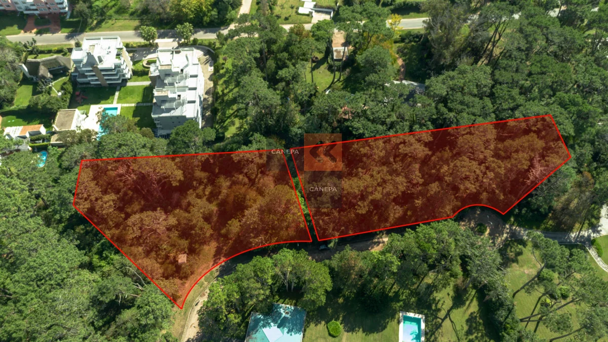 Terreno en Golf, propiedad 266325 -Imagen 3