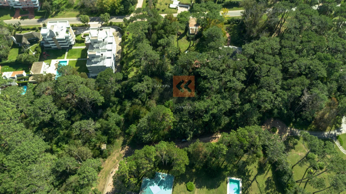 Terreno en Golf, propiedad 266325 -Imagen 5