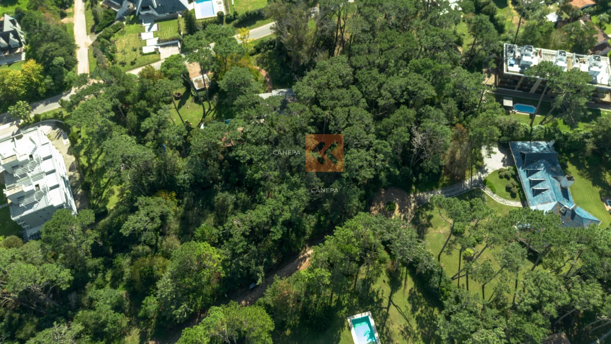 Terreno en Golf, propiedad 266325 -Imagen 6