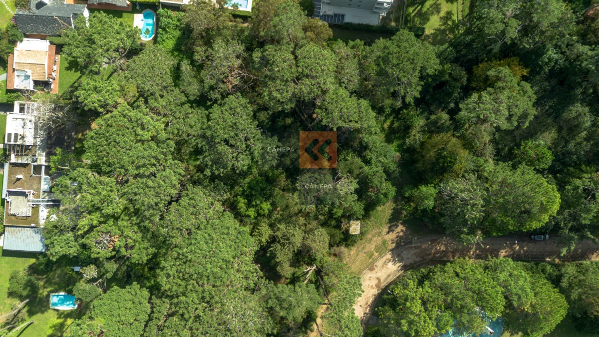 Terreno en Golf, propiedad 266325 -Imagen 7