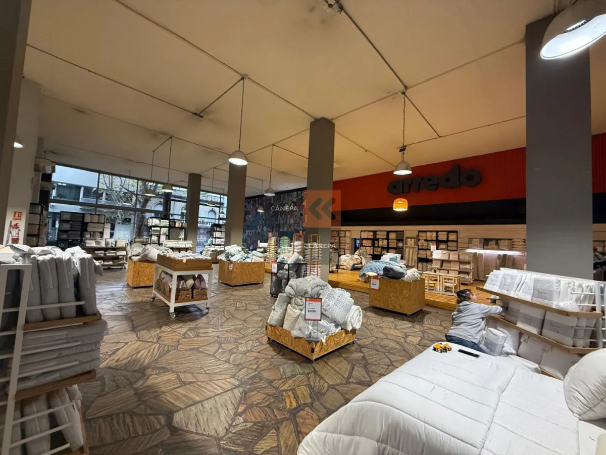 Local en Centro, propiedad 275042 -Imagen 2
