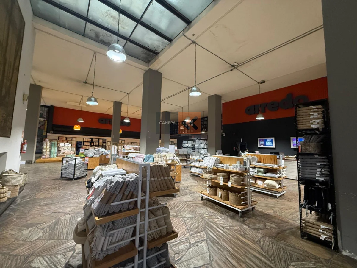 Local en Centro, propiedad 275042 -Imagen 4