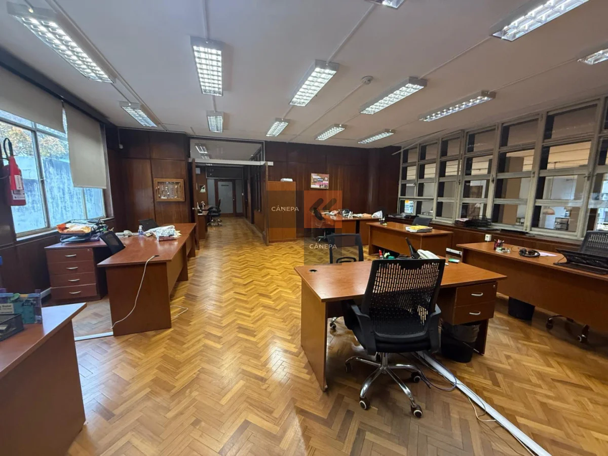 Local en Centro, propiedad 275042 -Imagen 6