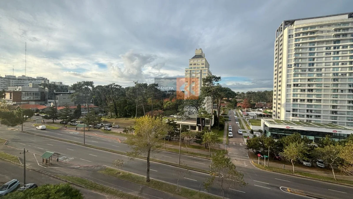 Apartamento en Roosevelt, propiedad 275261 -Imagen 12