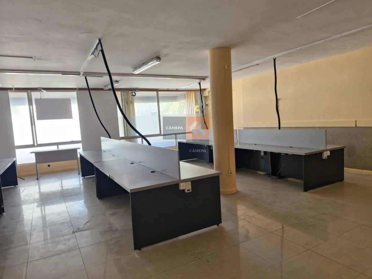 Local en Península, propiedad 285865 -Imagen 2