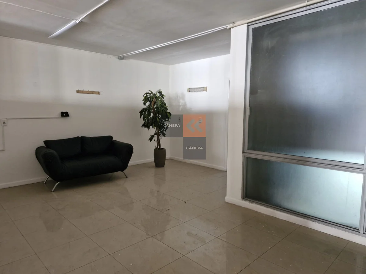 Local en Península, propiedad 285865 -Imagen 3