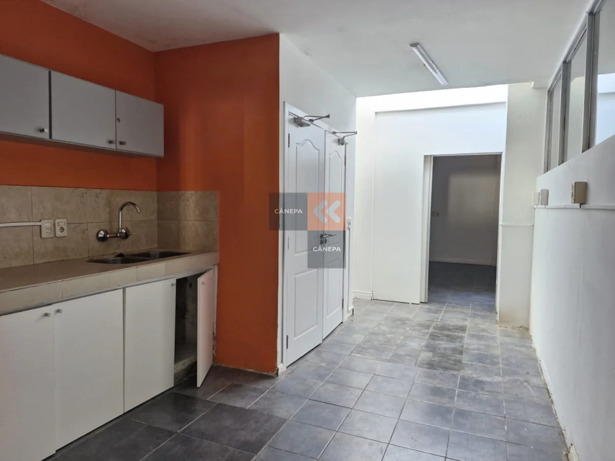 Local en Península, propiedad 285865 -Imagen 4
