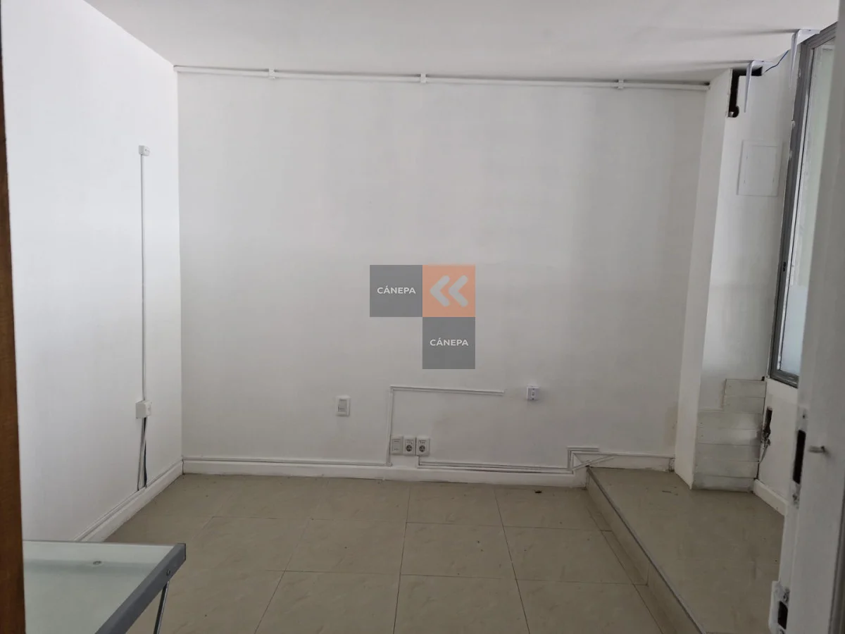 Local en Península, propiedad 285865 -Imagen 5