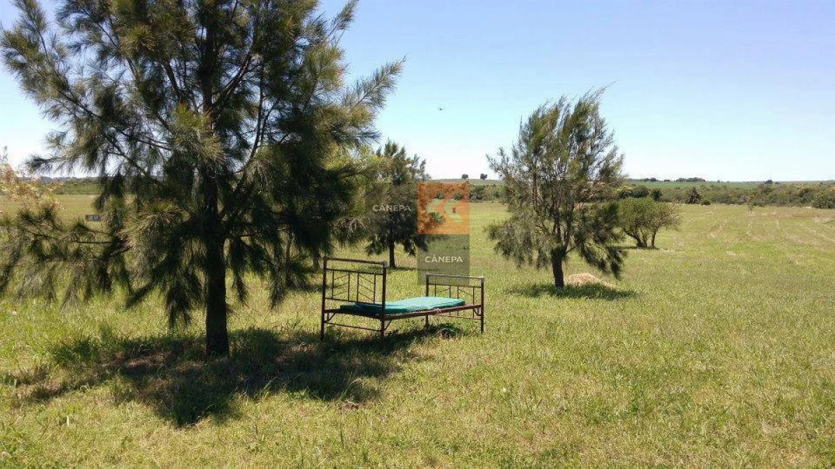 Casa en Carmelo, propiedad 286787 -Imagen 19